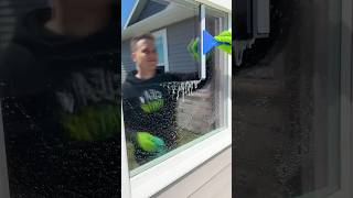How to clean exterior windows and screens | Day 29/30 of my Spring Cleaning Spree #diy #home