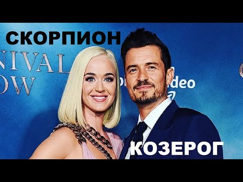 ТОП 10 фактов: КОЗЕРОГ И СКОРПИОН: ЧТО ОБЩЕГО?