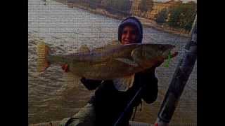 [HD] STREET-FISHING Pêche gros sandre 90cm en Seine à Paris au leurre REINS !