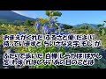 りんどうの花咲くころ/千葉一夫 カラオケ(♭1)