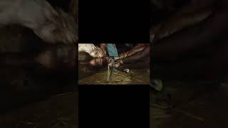 Dystocia in Buffalo(pgdp)#youtube #youtubeshorts #baffalo