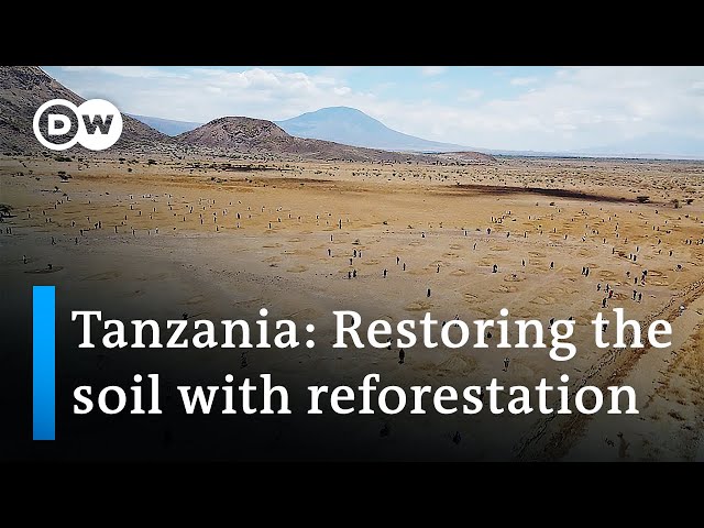 Justdiggit: Restoring dry land in Tanzania | Global Ideas class=