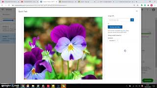 Assignment 4 of BDAT1007