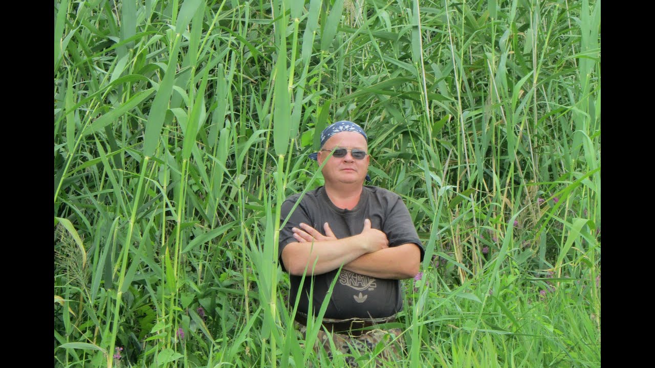 Кормушка "Метод Фидер" от компании "ExtraCARP"