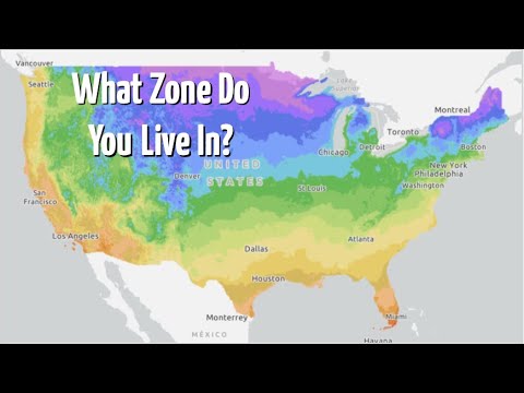 Video: Understanding World Hardiness Zones - Plant Hardiness Zones in Other Regions