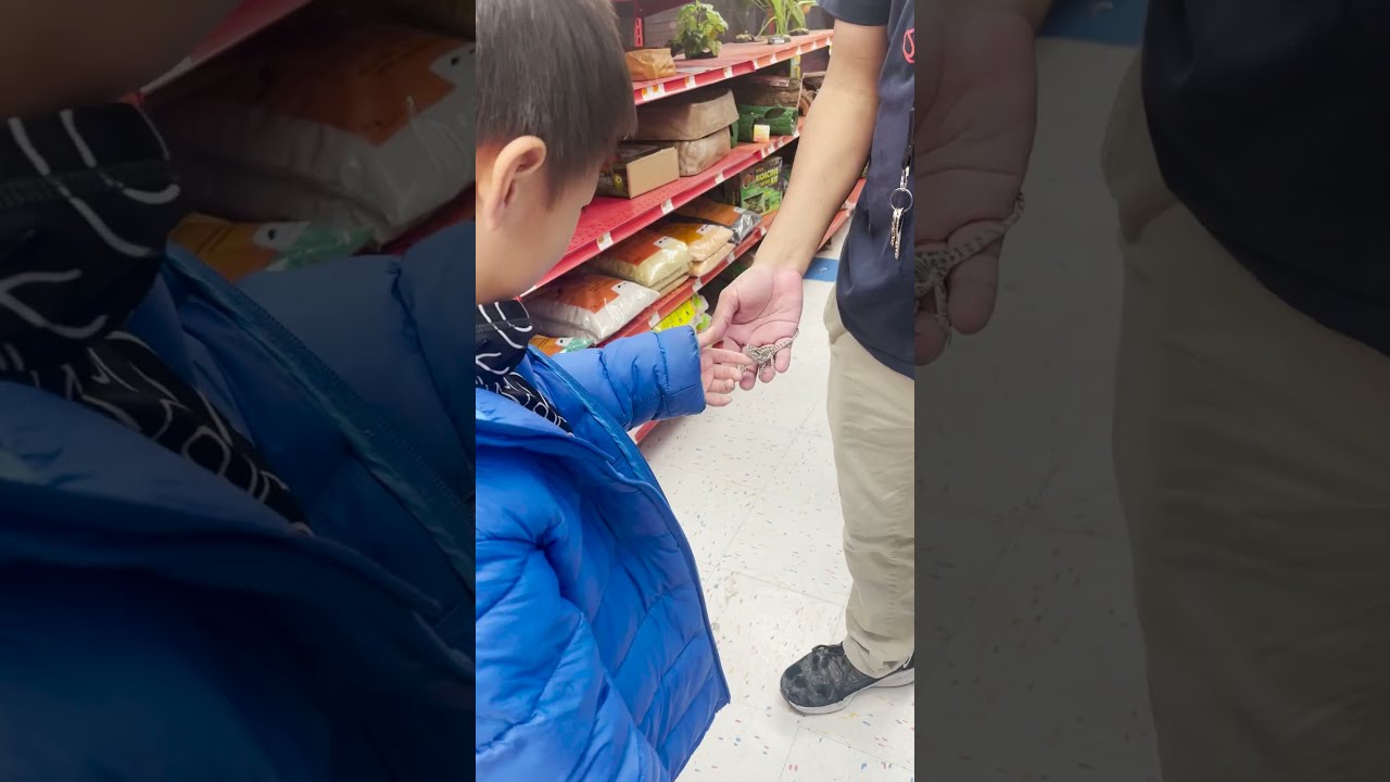  WHAT TO BUY WITH 100 IN PETCO Adventurous Fish Kidsfun Pets