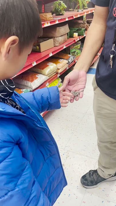 🤔🐾WHAT TO BUY WITH $100 IN PETCO? #adventurous #fish #kidsfun, #pets