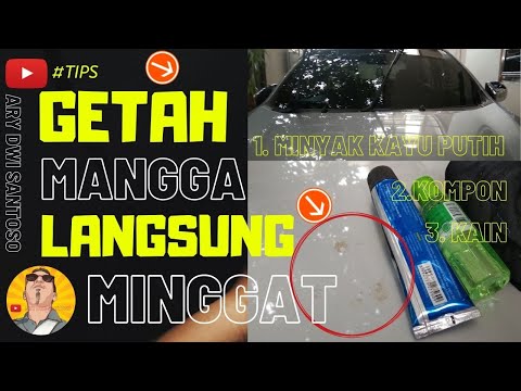 Video: Tips Menghilangkan Getah Pohon