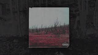 6pxths - desolate prospects w/ CURSEDMANE (prod. 6pxths)