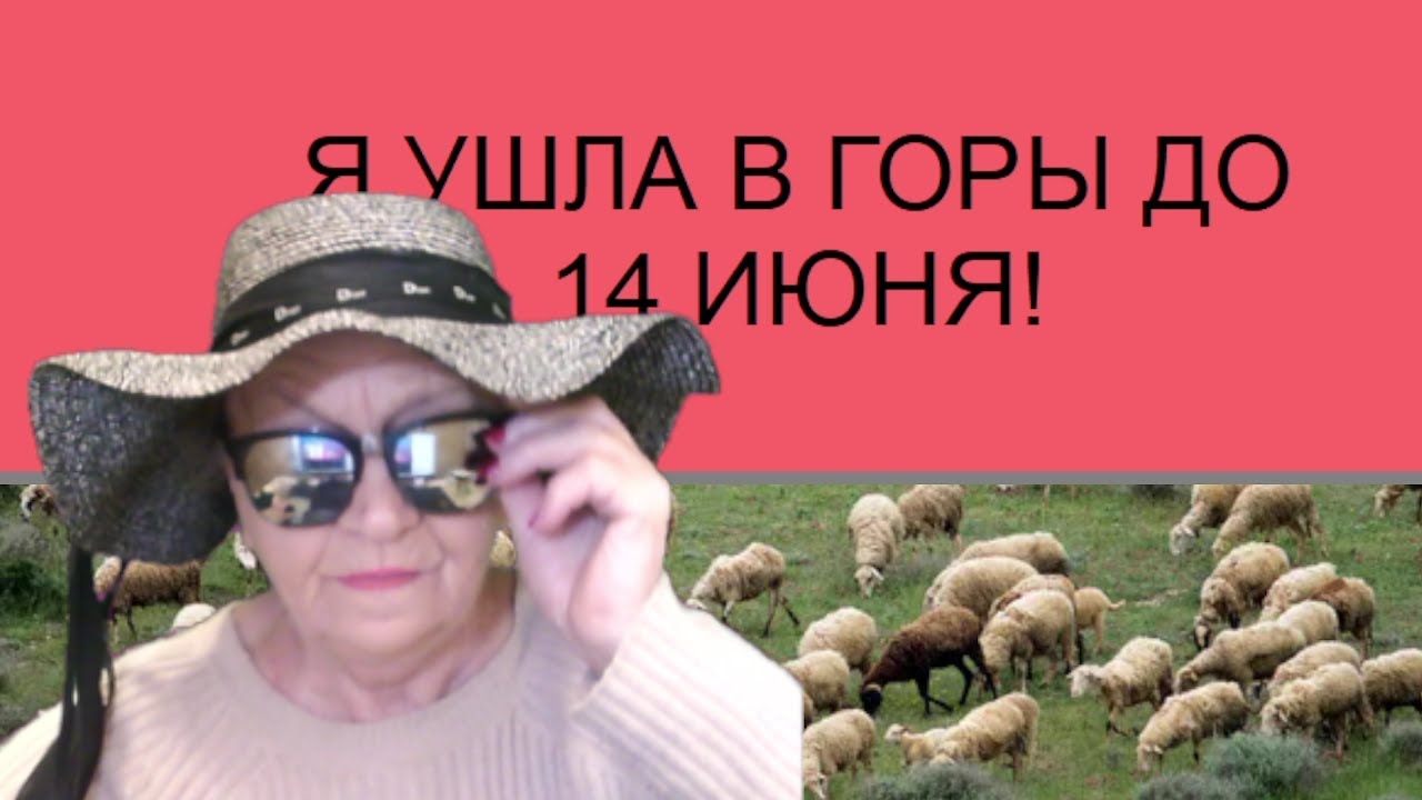 Внимание всем! Я ухожу в горы. Штурмовать свою вершину. Если вернусь ...