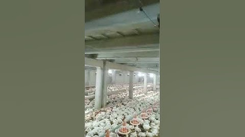 How it works- HICO FOGGING and Mist Systems