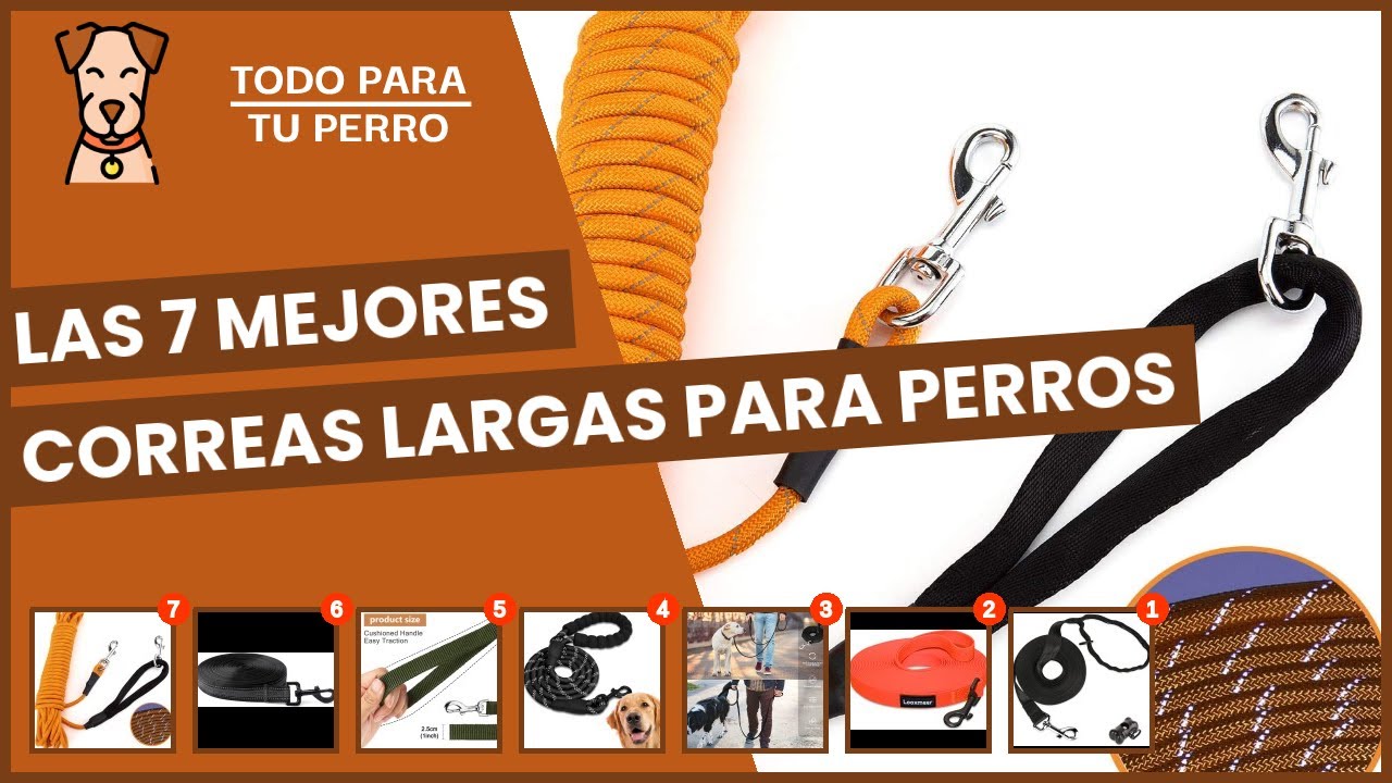 Las 7 mejores correas largas para perros