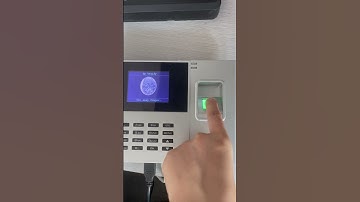 EPORDO professional fingerprint time attendance |employees attendance in and out records|time clock