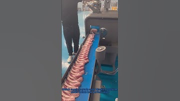 Robotic Meat Slicing Precision! | Factory Food Tech