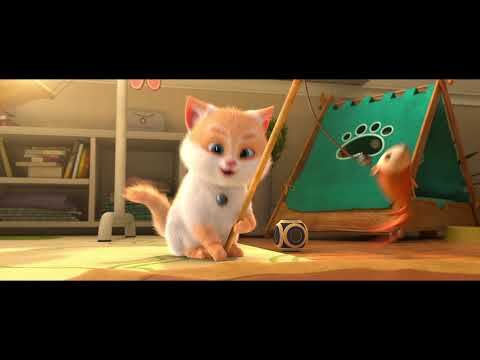 cats!---trailer