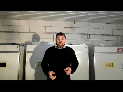 Обзор китайского инкубатора