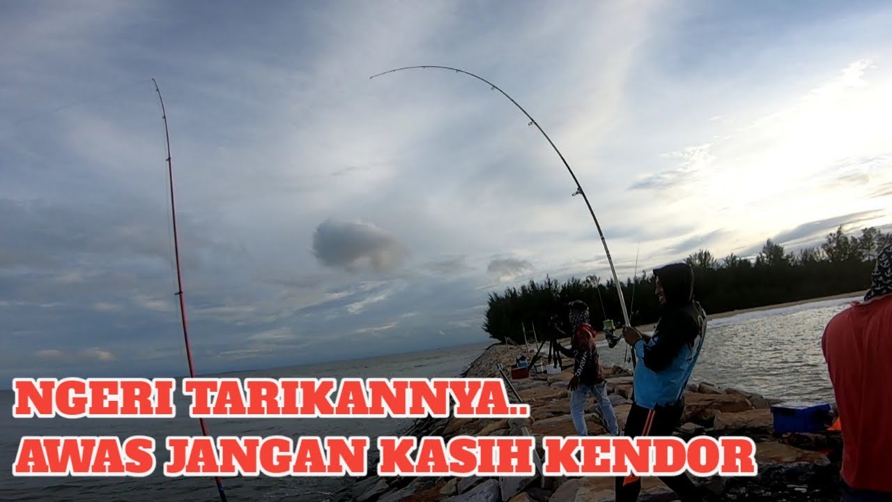 Mancing di pulau ketemu arie kalbar || Gila tarikan ikan nya seperti ikan moster nya monsterr