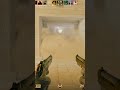 Just press W #Gamer #PCGaming #CSGO #ViralGaming #GamingShorts #CS2Highlights #Ace