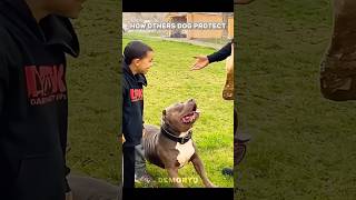 Child Protection by Dog – Real Hero Moment 😱❤️&quot;#dog #shortsfeed #shorts #ytshorts #short#viralvide