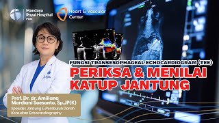 The Role of TEE Heart Ultrasound in Assessing Heart Valve Conditions | Prof. Dr. dr. Amiliana M.S...