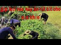 Đi Săn Bắt Ngang Đàn Vịt Và Cái Kết Đầy Bất Ngờ l tập 567