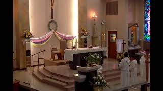 Domingo de Divina Misericordia,  4/12/2026