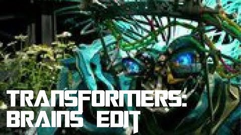 Transformers: Brains