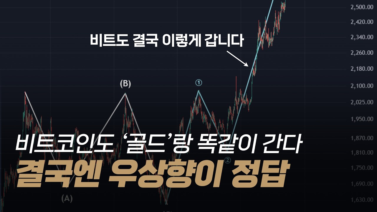 비트코인 vs 금 차트 완벽 비교 - 이렇게 떡상합니다 - YouTube