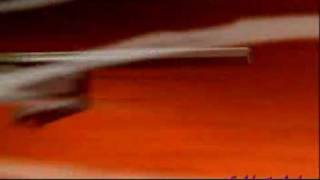 Vampires - Hellsing AMV