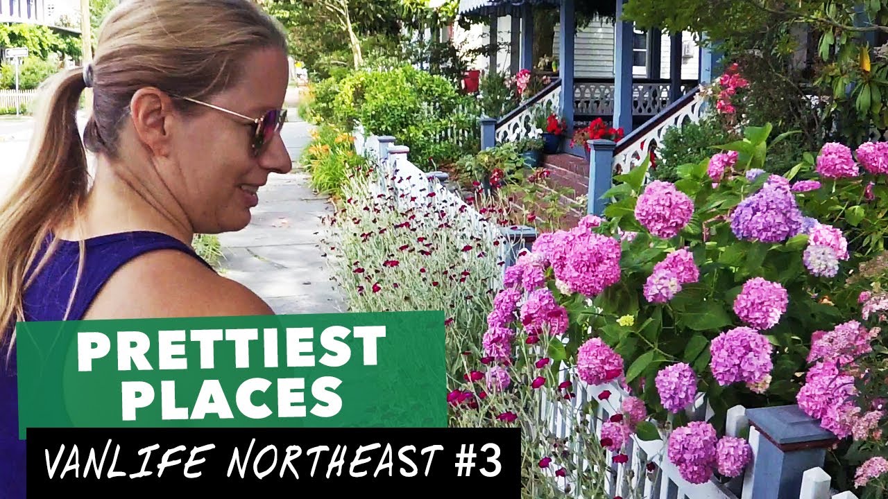 Stealth camping in Cape May, NJ & Longwood Gardens Van Life Travel