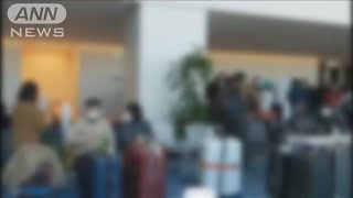 武漢から帰国の男性「残っている日本人が心配」(20/01/29)
