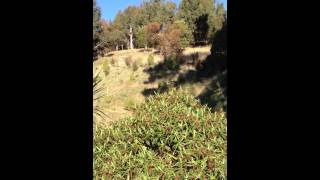 IMG 5384