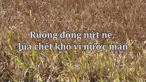 Đồng bằng sông Cửu Long khô cằn, hạn mặn 100 năm - Tập 1 [HECWIN.com]