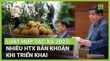 Triển khai luật Hợp tác xã 2023: Nhiều người băn khoăn | VTC16