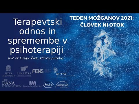 Terapevtski odnos in spremembe v psihoterapiji - prof. dr. Gregor Žvelc, klinični psiholog