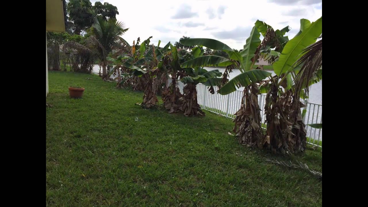 FLORIDA REAL ESTATE -  REO - PEMBROKE PINES, FLORIDA - HANDYMAN SPECIAL