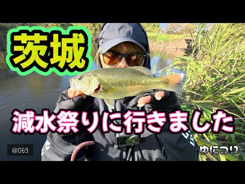 茨城県の減水ポイントへ！雨に打たれながらしっかり子バスたちに遊んでもらいました【ゆにつり】