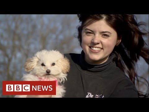 Lockdown puppies lead to the rise of doggy day care demand