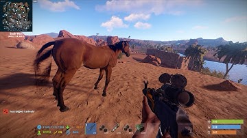 Riding a Horse in Rust!