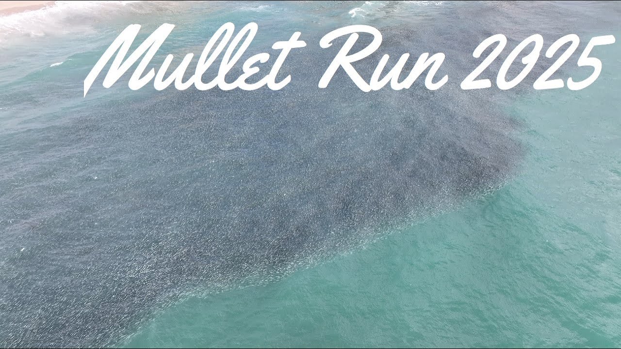 Mullet Run 2025 Sept 12 (Singer Island) FL