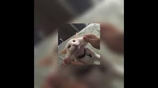 one day | sped up & pitched ~ matisyahu