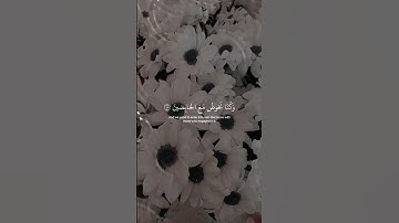 القارئ شريف مصطفى ❤️اكتب شيء تؤجر عليه