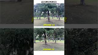 iPhone 12 vs iPhone 13 Camera Test | Camera Comparision #iphone12 #iphone13 #iphone #shorts