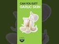 Can You Eat Garlic Skin