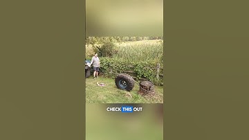 Tree Stump vs Torque — Smart Physics Trick.   #shorts #tree #torque #viral