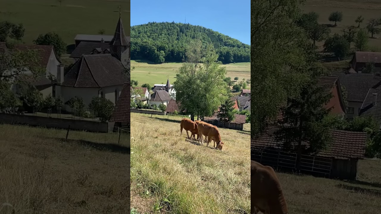 the ringing of cowbells in Switzerland