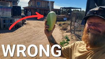 They said my Off-Grid Dream was impossible |  I proved them WRONG