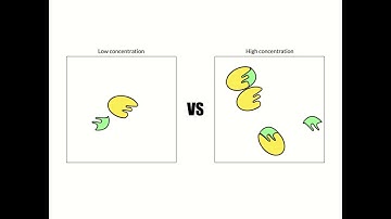 Collision Theory with Enzymes