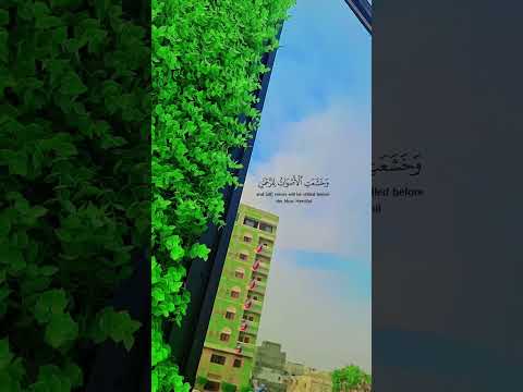 لحظة صمت اتخيل الموقف قرآن المصحف