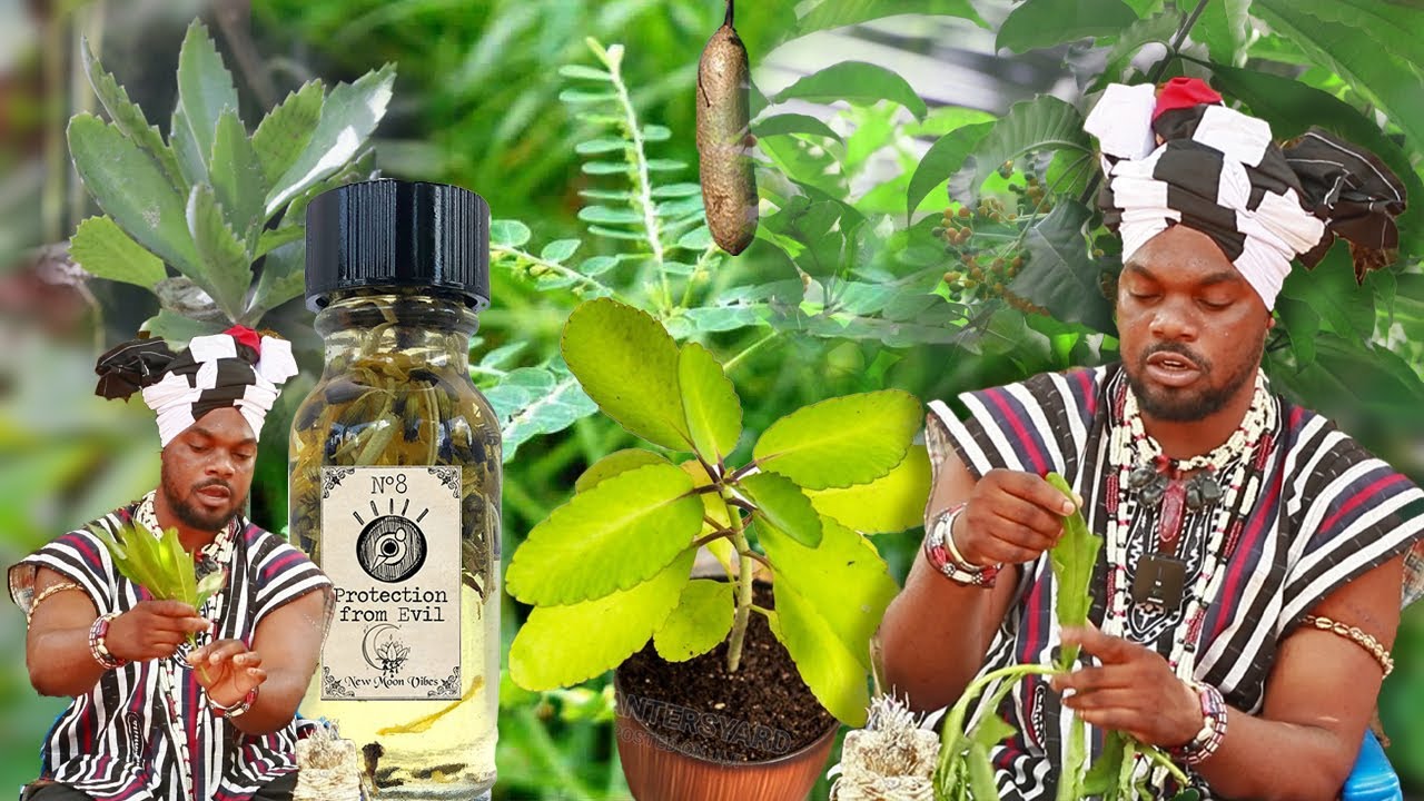 Deepest Herb Knowledge Shared Must Watch. YouTube